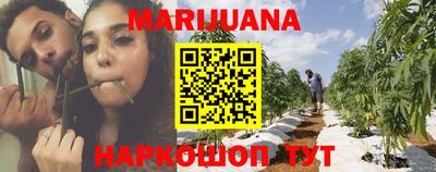 гидропоника Аргун