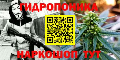 гидропоника Ликино-Дулёво