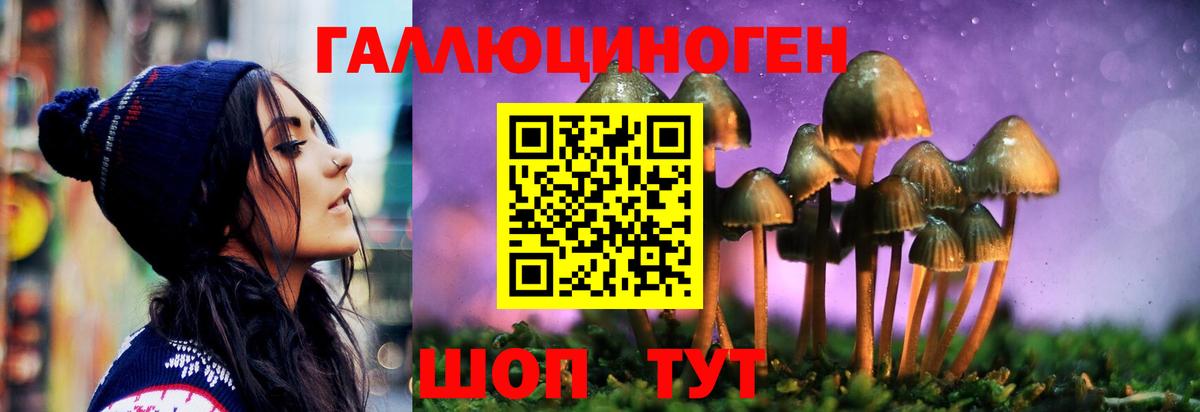 Псилоцибиновые грибы Psilocybine cubensis  Псилоцибиновые грибы Psilocybe  Вход с VPN  Зеленодольск 